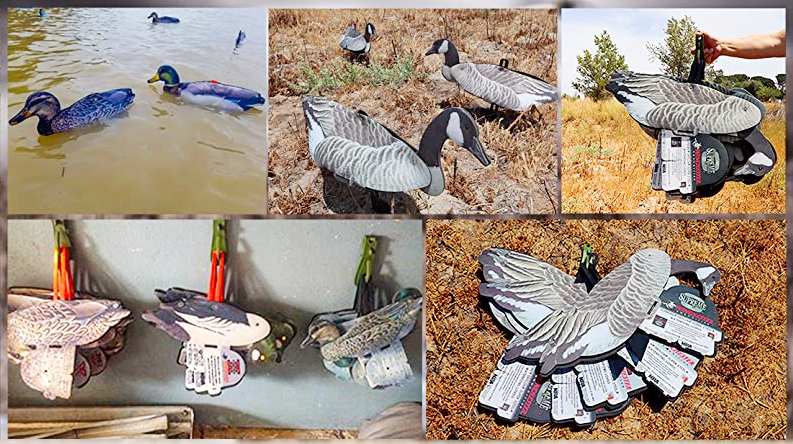 What is the folding decoys?